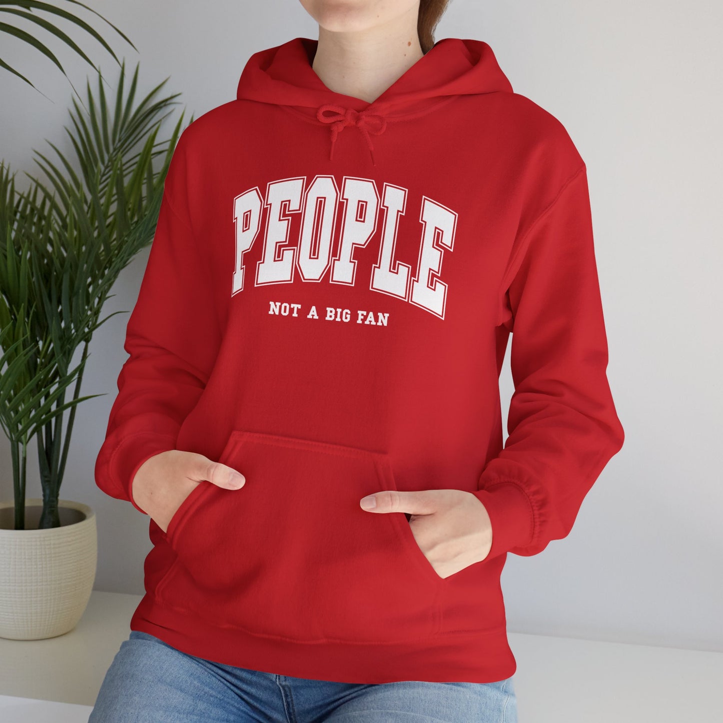 People Not a Big Fan Hoodie