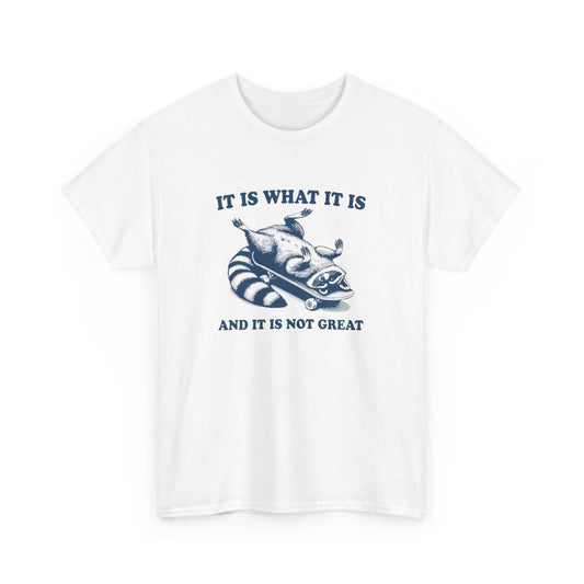 Front view of a white T-shirt featuring a blue raccoon on a skateboard with "It Is What It Is... And It's Not Great" text. Part of the Vivid Divergence Sensory Friendly Unisex Tees Range.